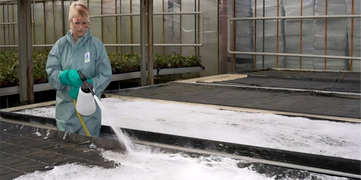 Gestione dell'igiene nella produzione di ortaggi: come controllare il ToBRFV